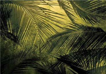 6800403 - panel Palms Campo Random Papers II Coordonne