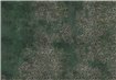 6800622 - panel Brocade Emerald Random Papers II Coordonne