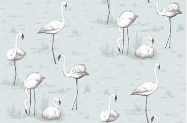 95/8047 Flamingos - Tapeta ścienna Contemporary Restyled Cole and Son