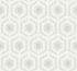 DG10403 - tapeta Hexagon Lattice Geometric Effects WallQuest