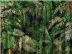Tapeta Jungla zieleń Jungle WallCraft 805322301 