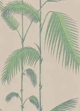 66/2011 – tapeta Palm Leaves The Contemporary Selection Cole & Son