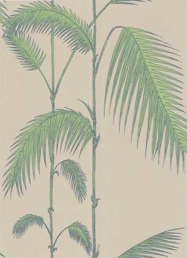 66/2011 – tapeta Palm Leaves The Contemporary Selection Cole & Son
