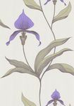 66/4024 – tapeta Orchid The Contemporary Selection Cole & Son