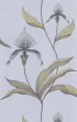 66/4026 – tapeta Orchid The Contemporary Selection Cole & Son