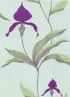 66/4027 – tapeta Orchid The Contemporary Selection Cole & Son