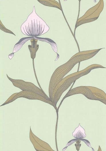 66/4028 – tapeta Orchid The Contemporary Selection Cole & Son
