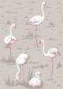 66/6042 – tapeta Flamingos The Contemporary Selection Cole & Son