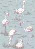 66/6044 – tapeta Flamingos The Contemporary Selection Cole & Son