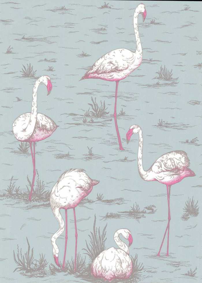 66/6044 – tapeta Flamingos The Contemporary Selection Cole & Son