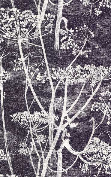 66/7046 – tapeta Cow Parsley The Contemporary Selection Cole & Son
