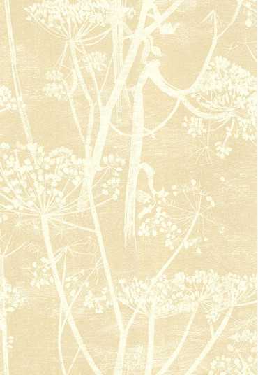 66/7049 – tapeta Cow Parsley The Contemporary Selection Cole & Son