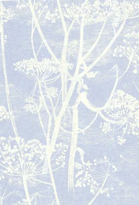 66/7050 – tapeta Cow Parsley The Contemporary Selection Cole & Son