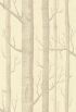 69/12148 – tapeta Woods The Contemporary Selection Cole & Son