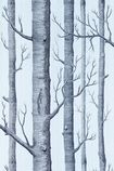 69/12150 – tapeta Woods The Contemporary Selection Cole & Son