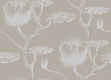 69/3110 – tapeta Lily The Contemporary Selection Cole & Son