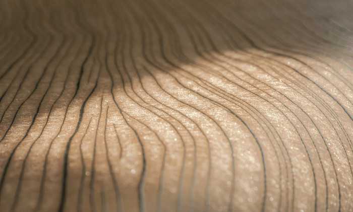 54041 – tapeta Timber Monochrome Arte
