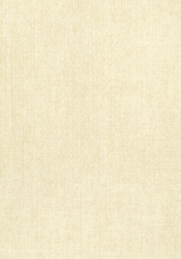 T57106 – tapeta Tobago Weave Texture Resource Volume 5 Thibaut