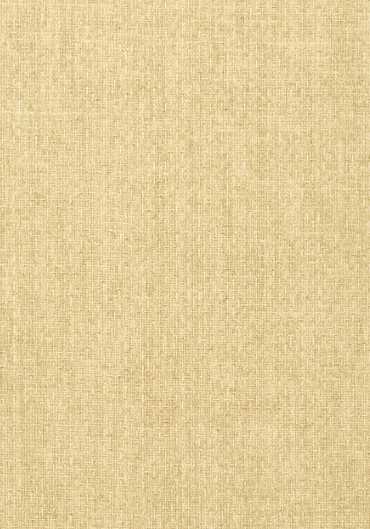 T57108 – tapeta Tobago Weave Texture Resource Volume 5 Thibaut