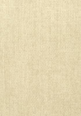 T57111 – tapeta Tobago Weave Texture Resource Volume 5 Thibaut