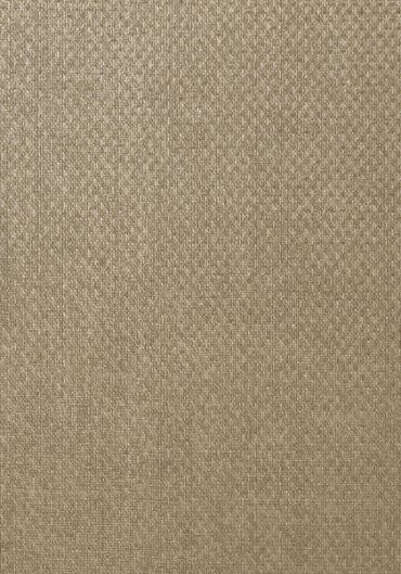 T57112 – tapeta Tobago Weave Texture Resource Volume 5 Thibaut