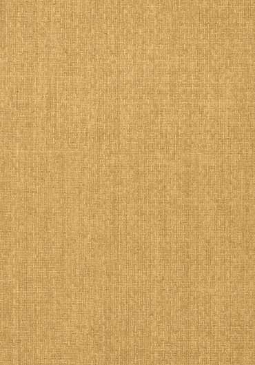 T57113 – tapeta Tobago Weave Texture Resource Volume 5 Thibaut
