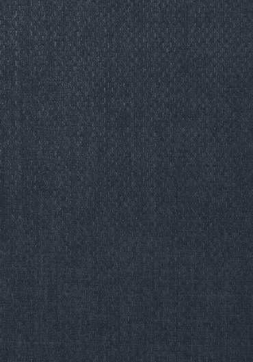 T57114 – tapeta Tobago Weave Texture Resource Volume 5 Thibaut