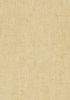 T57122 – tapeta Belgium Linen Texture Resource Volume 5 Thibaut