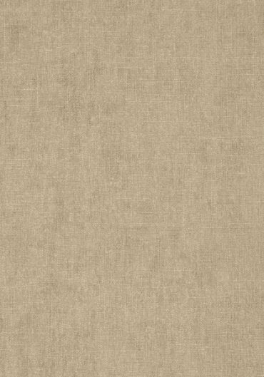 T57126 – tapeta Belgium Linen Texture Resource Volume 5 Thibaut