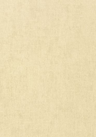 T57127 – tapeta Belgium Linen Texture Resource Volume 5 Thibaut