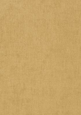 T57128 – tapeta Belgium Linen Texture Resource Volume 5 Thibaut