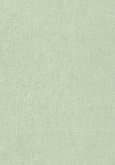 T57136 – tapeta Belgium Linen Texture Resource Volume 5 Thibaut