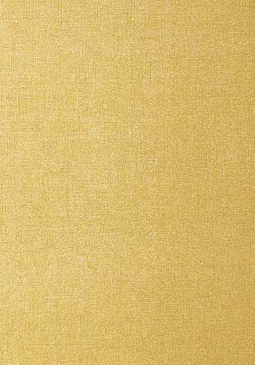 T57139 – tapeta Belgium Linen Texture Resource Volume 5 Thibaut