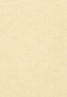 T57140 – tapeta Dublin Weave Texture Resource Volume 5 Thibaut