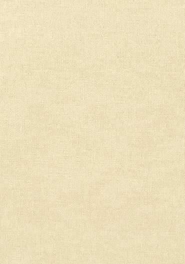 T57143 – tapeta Dublin Weave Texture Resource Volume 5 Thibaut