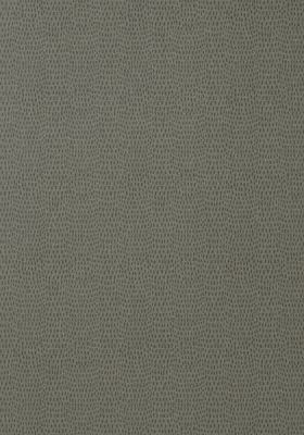 T57153 – tapeta Chameleon Texture Resource Volume 5 Thibaut