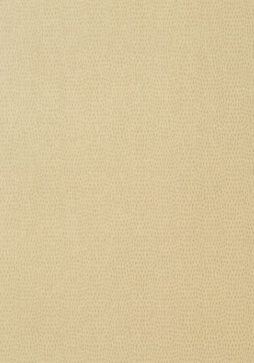 T57155 – tapeta Chameleon Texture Resource Volume 5 Thibaut