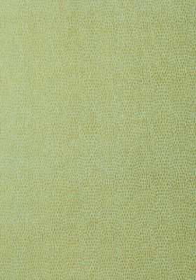 T57156 – tapeta Chameleon Texture Resource Volume 5 Thibaut
