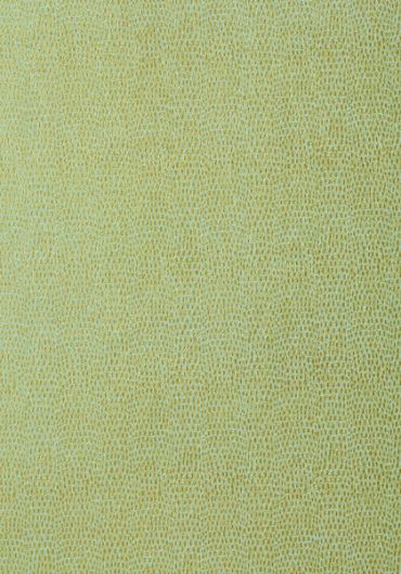 T57156 – tapeta Chameleon Texture Resource Volume 5 Thibaut