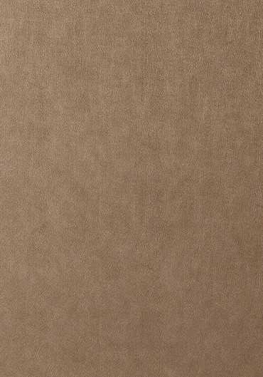 T57160 – tapeta Western Leather Texture Resource Volume 5 Thibaut