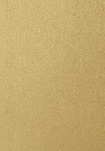 T57161 – tapeta Western Leather Texture Resource Volume 5 Thibaut