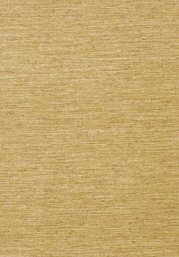T57185 – tapeta Arrowroot Texture Resource Volume 5 Thibaut