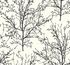 BW22400 - tapeta Winter Branches Black & White Paper&Ink Wallquest
