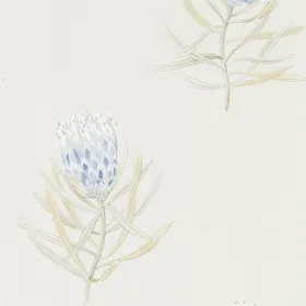 216327 – tapeta Protea Flower China Blue/Canvas Art Of The Garden Sanderson