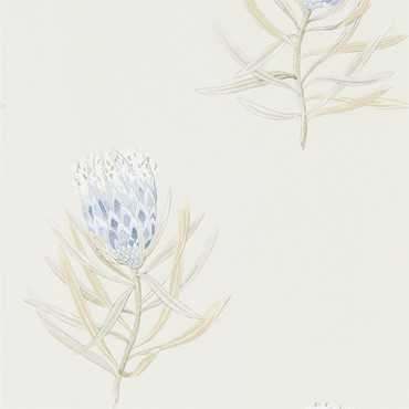 216327 – tapeta Protea Flower China Blue/Canvas Art Of The Garden Sanderson