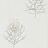 216328 – tapeta Protea Flower Daffodil/Natural Art Of The Garden Sanderson
