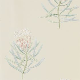 216329 – tapeta Protea Flower Russet/Green Art Of The Garden Sanderson