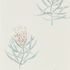 216330 – tapeta Protea Flower Porcelain/Blush Art Of The Garden Sanderson