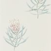 216330 – tapeta Protea Flower Porcelain/Blush Art Of The Garden Sanderson