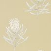 216331 – tapeta Protea Flower Sepia/Champagne Art Of The Garden Sanderson
